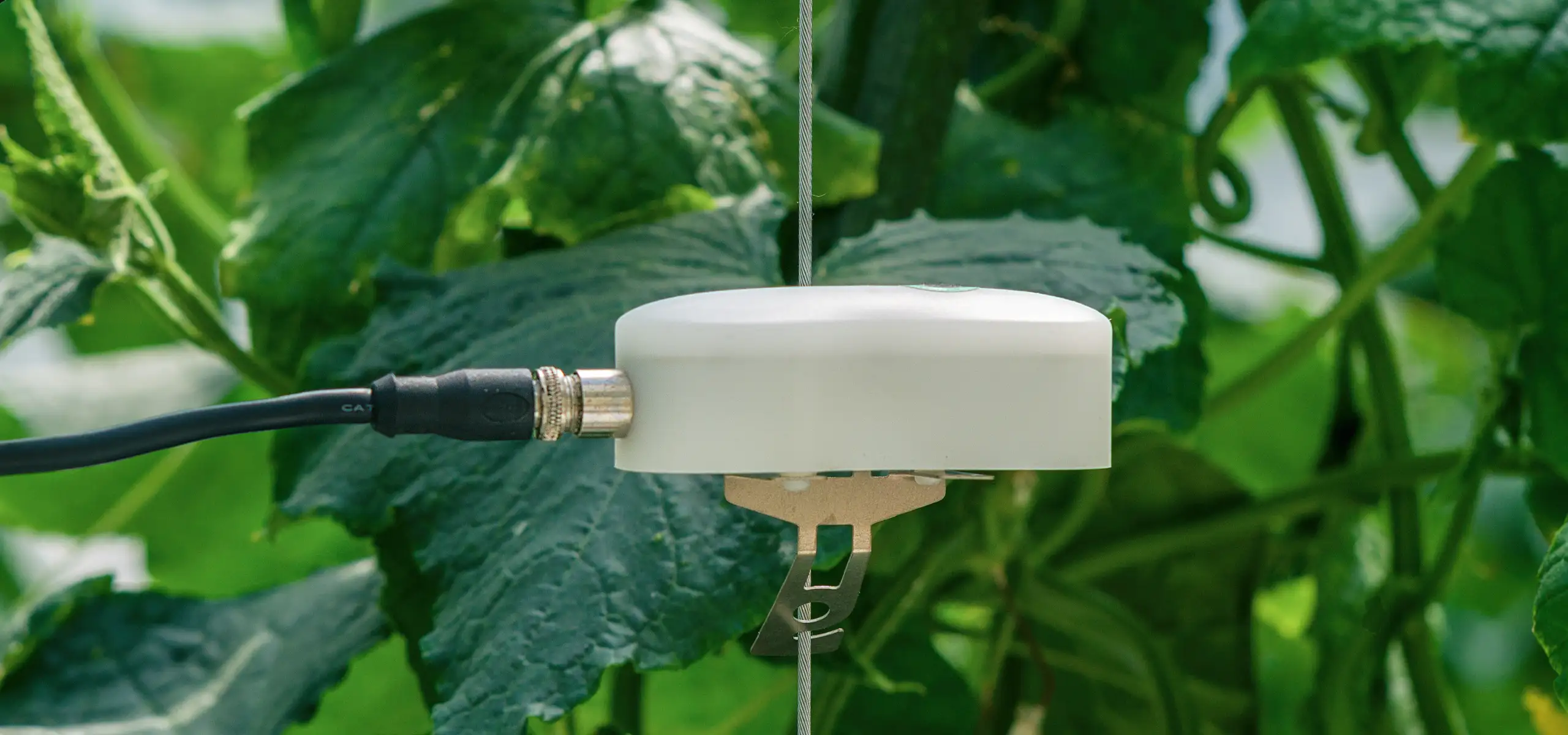 Quantified agricultural sensors designed by Groen & Boothman Amsterdam
