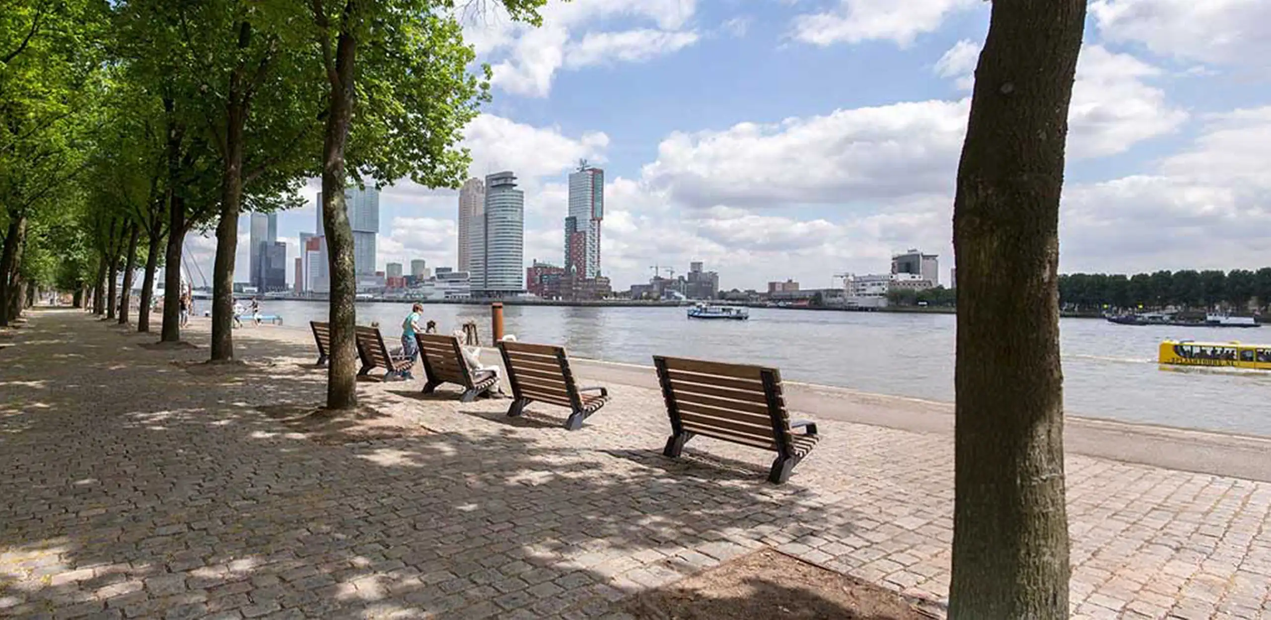 rotterdam street furniture design benches along Maas river